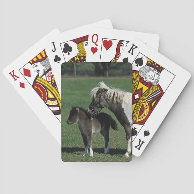 Miniature Mare & Foal Standing Playing Cards (Back)