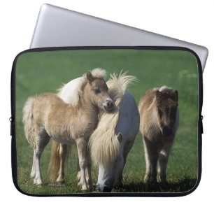 Miniature Mare & Foals 1 Laptop Sleeve