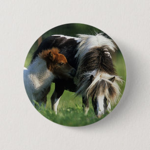 Miniature Mare & Foals 2 2 Inch Round Button