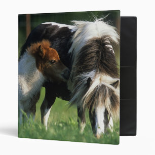 Miniature Mare & Foals 2 Binder