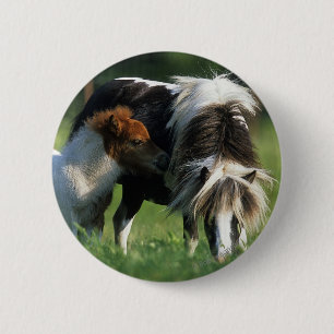 Miniature Mare & Foals 2 Inch Round Button