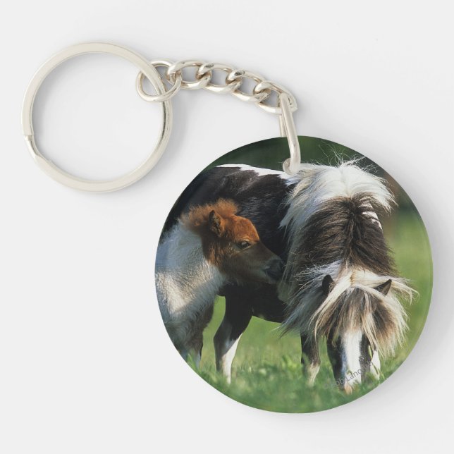 Miniature Mare & Foals 2 Keychain (Front)