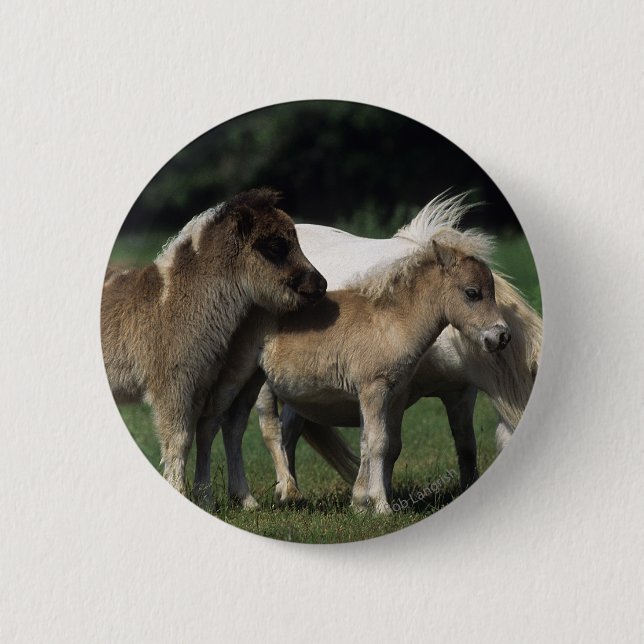 Miniature Mare & Foals 3 2 Inch Round Button (Front)