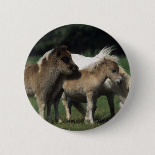 Miniature Mare & Foals 3 2 Inch Round Button