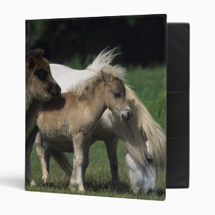 Miniature Mare & Foals 3 Binder