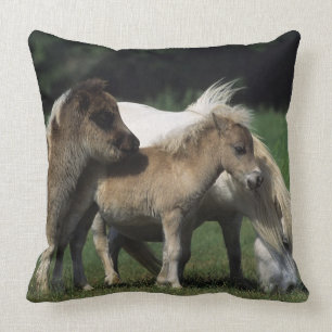 Miniature Mare & Foals 3 Throw Pillow