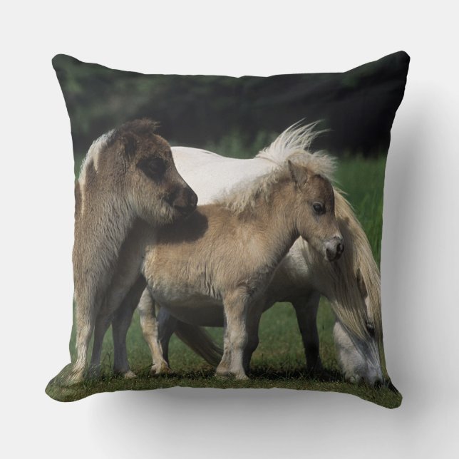 Miniature Mare & Foals 3 Throw Pillow (Front)