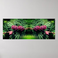 Miniature Pine Cones Mirror Abstract