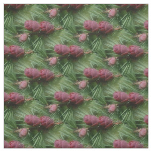 Miniature Pine Cones Nature Pattern Fabric