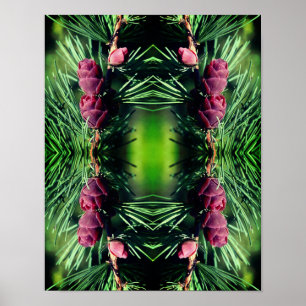 Miniature Pinecones Close Up Abstract Poster