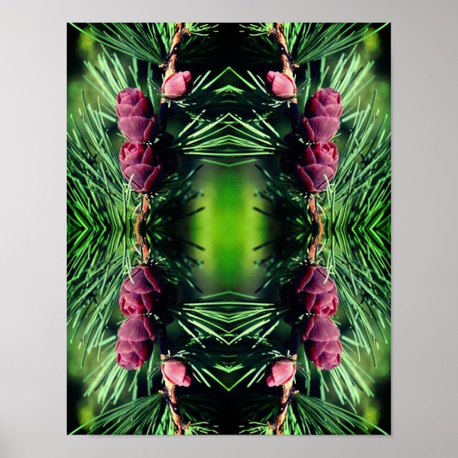 Miniature Pinecones Close Up Abstract Poster (Front)