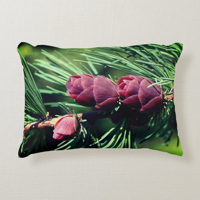 Miniature Pinecones Close Up Accent Pillow (Front)