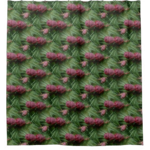 Miniature Pinecones Nature Pattern
