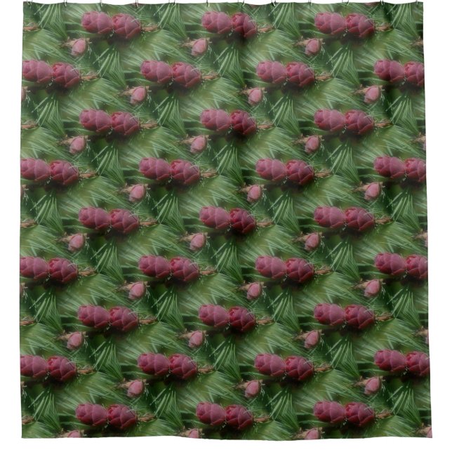 Miniature Pinecones Nature Pattern (Front)