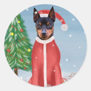 Miniature Pinsch Dog in Snow with Christmas Gifts  Classic Round Sticker