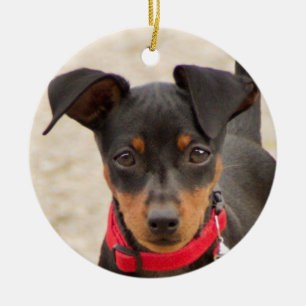 miniature-pinscher-black and rust ceramic ornament