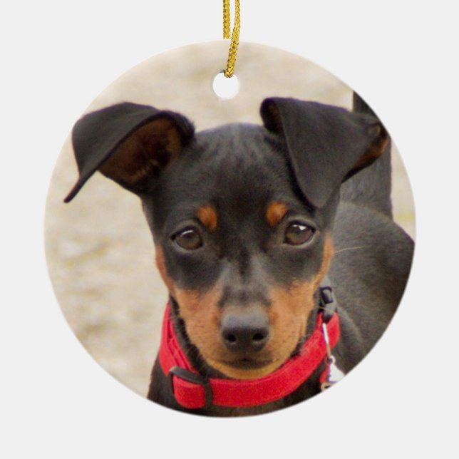 miniature-pinscher-black and rust ceramic ornament (Front)