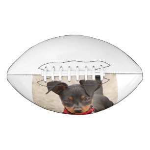 miniature-pinscher-black and rust football