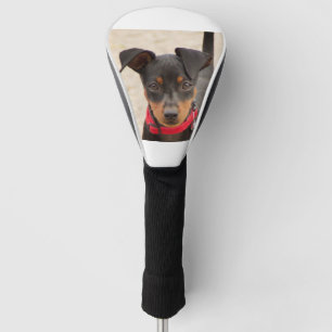 miniature-pinscher-black and rust golf head cover