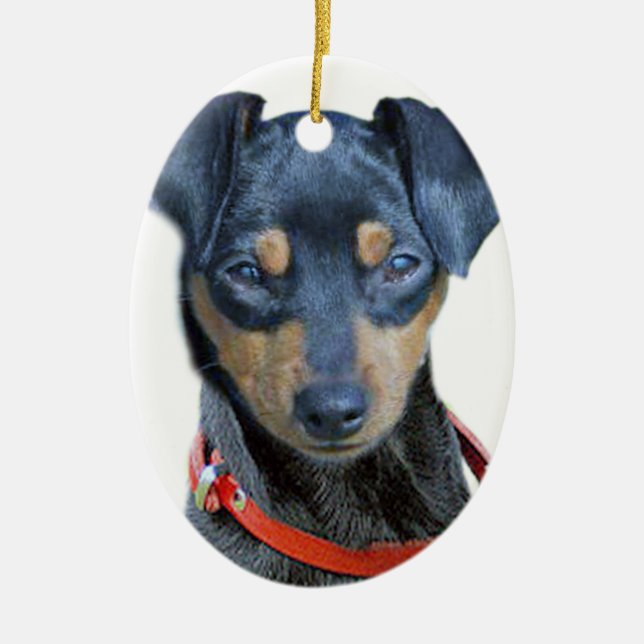 Miniature Pinscher Black Puppy Ceramic Ornament (Front)