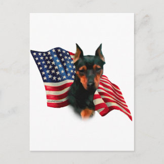 Miniature Pinscher (blk) Flag Postcard