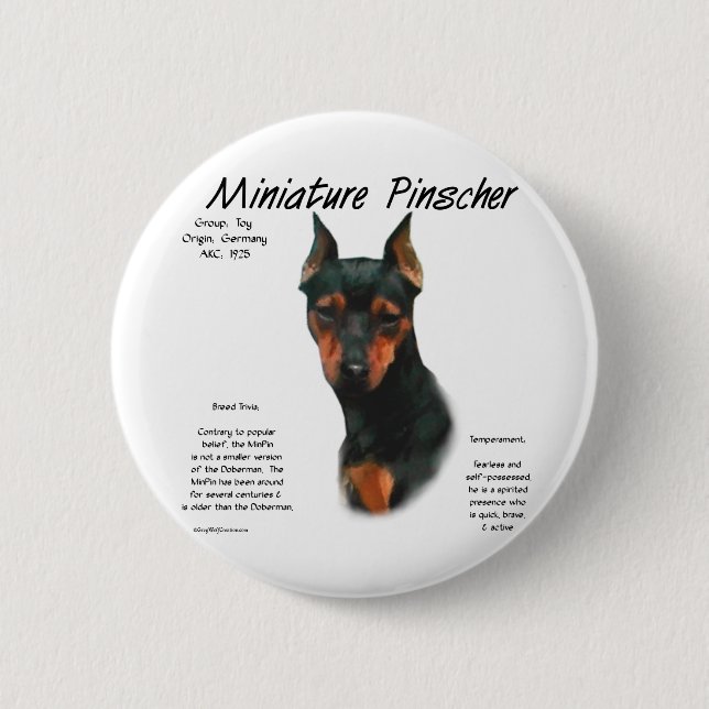 Miniature Pinscher (blk/rust) History Design 2 Inch Round Button (Front)