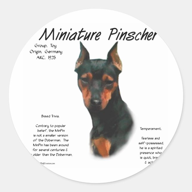 Miniature Pinscher (blk/rust) History Design Classic Round Sticker (Front)