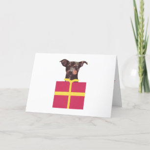 Miniature Pinscher Box Holiday Card