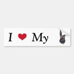 Miniature Pinscher Bumper Sticker