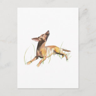 Miniature Pinscher Card, Personalised  Postcard
