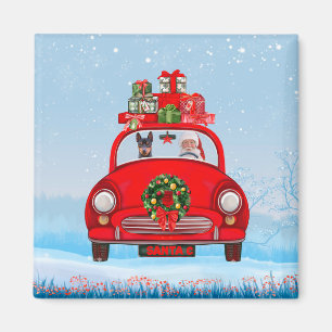 Miniature Pinscher Dog In Car With Santa Claus Magnet