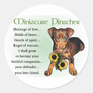 Miniature Pinscher Gifts Classic Round Sticker