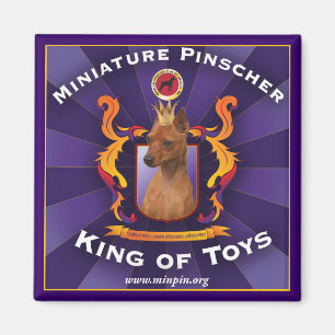 Miniature Pinscher, King of Toys Magnet