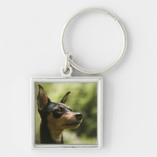 Miniature Pinscher (Min-Pin) 2 Keychain