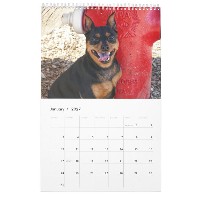 Miniature Pinscher One Calendar (Jan 2027)