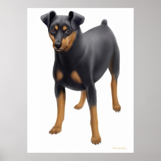 Miniature Pinscher Print (Front)