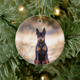 Miniature Pinscher Sitting Ceramic Ornament