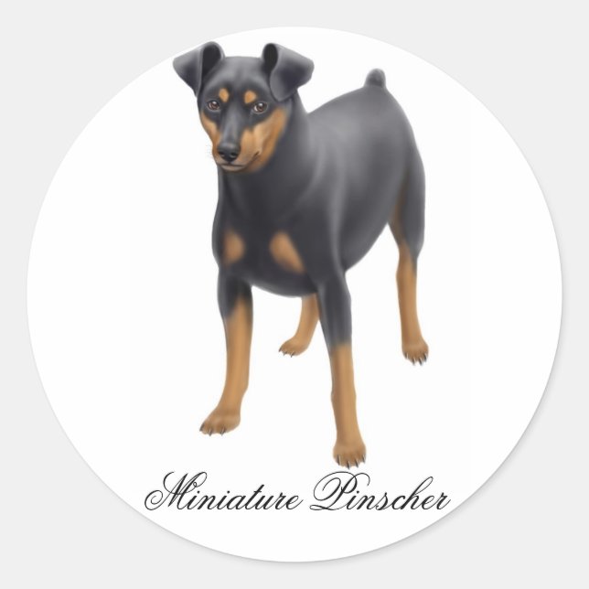 Miniature Pinscher Sticker (Front)
