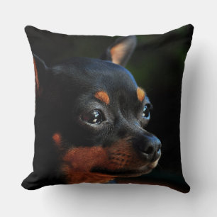 Miniature Pinscher throw pillow
