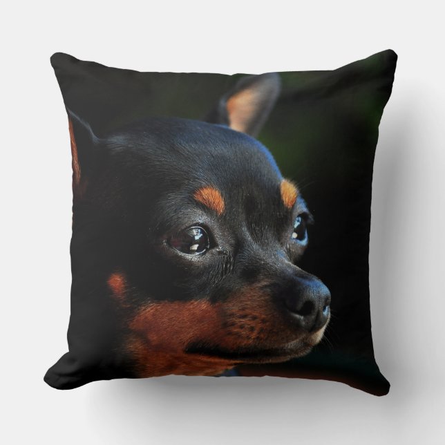 Miniature Pinscher throw pillow (Front)