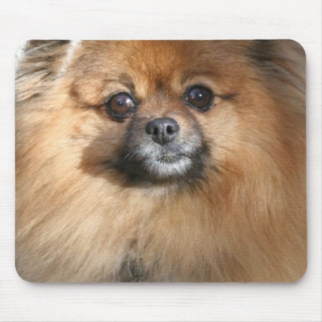 Miniature Pomeranian Mouse Pad (Front)