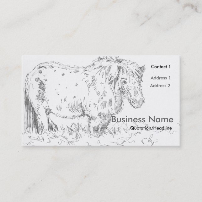 Miniature Pony Drawing Business Cards (Front)