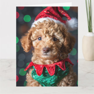 Miniature Poodle Elf Puppy Christmas Card