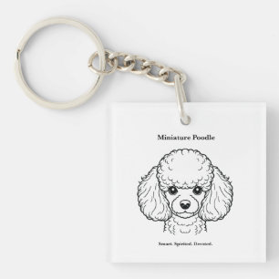 Miniature Poodle Portrait Black Line Illustration
