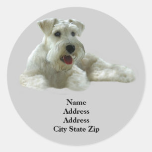 Miniature Schnauzer Address Label