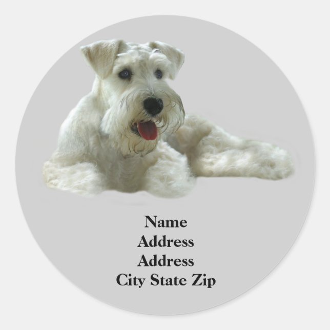 Miniature Schnauzer Address Label (Front)