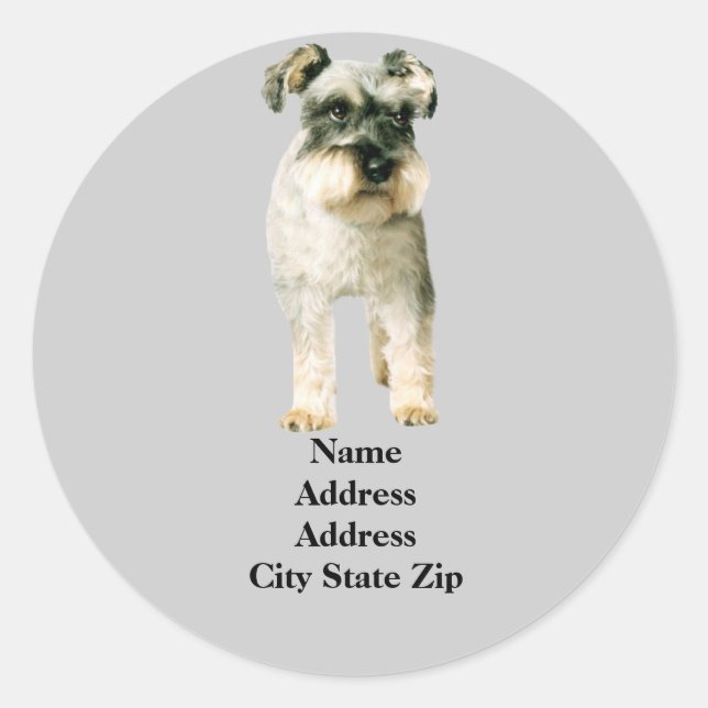 Miniature Schnauzer Address Label (Front)