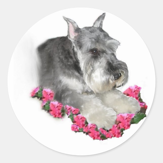 Miniature Schnauzer Art Gifts Classic Round Sticker (Front)