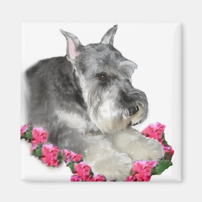Miniature Schnauzer Art Gifts Magnet (Front)