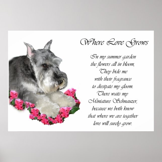 Miniature Schnauzer Art Gifts Prints (Front)